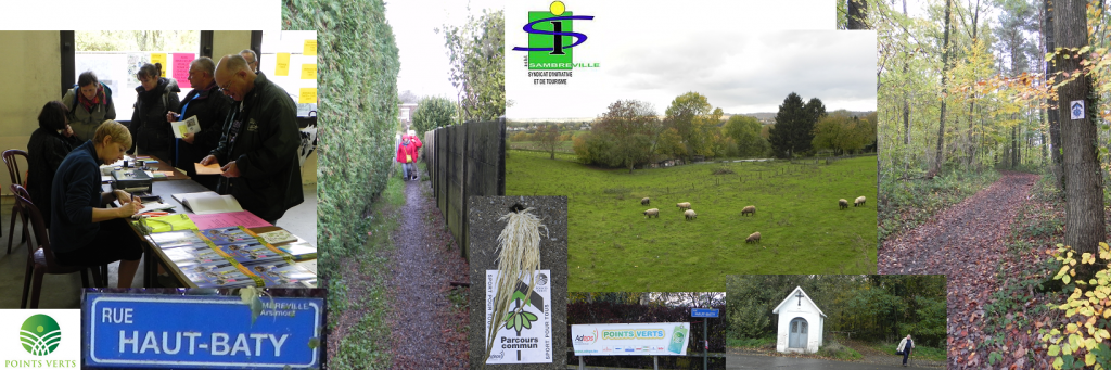 Arsimont - Marche ADEPS - 09/11/2014