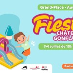 2025_07_03_Auvelais_Châteaux_gonflables