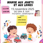 2025_11_15_Tamines_Bourse_Jouets