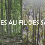 2026_01_19_Auvelais_Balades