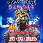 2026_02_20_Tamines_MJ_Concert