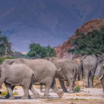 2026_04_02_Auvelais_Explo_Namibie