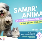 2026_05_31_Auvelais_Sambr_Animal